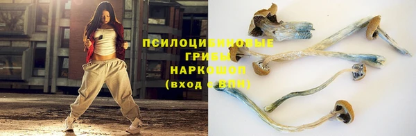 прущие грибы Алексеевка
