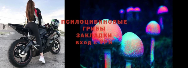 трава Абдулино
