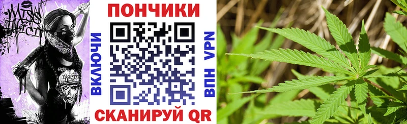Каннабис конопля купить наркотики цена Костерёво